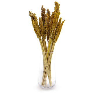 6x Cantal Grass Bunch - Amber