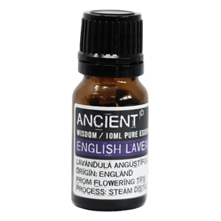 English Lavender Essential Oil